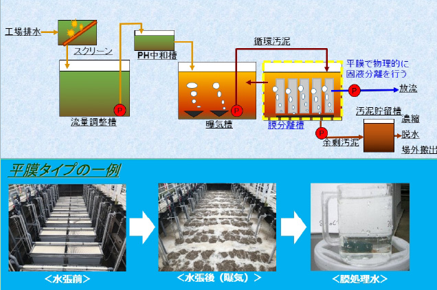 活性 汚泥 の 増やし 方